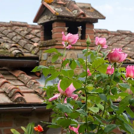 Il Piccolo Eden Pescia